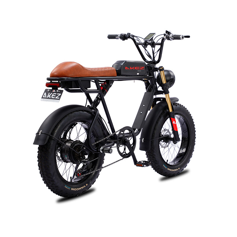 Bicicleta eléctrica, bicicleta eléctrica plegable de 20 pulgadas para  adultos, bicicleta eléctrica de neumáticos grasos de 750 W, batería  extraíble de