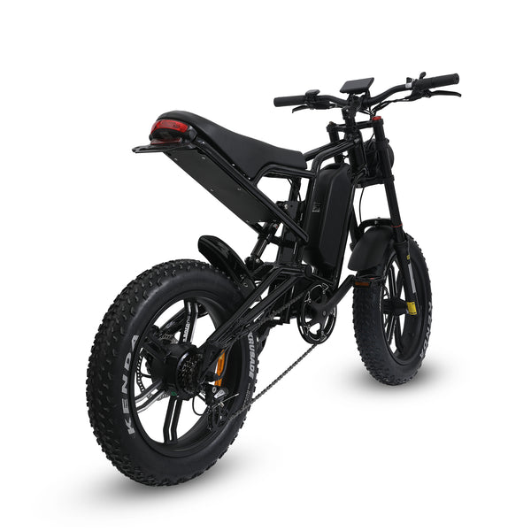 Ridefaboard 20 pouces électrique dirt bicyclette 48v batterie au lithium longue portée fat pneu vitesse variable vélo électrique