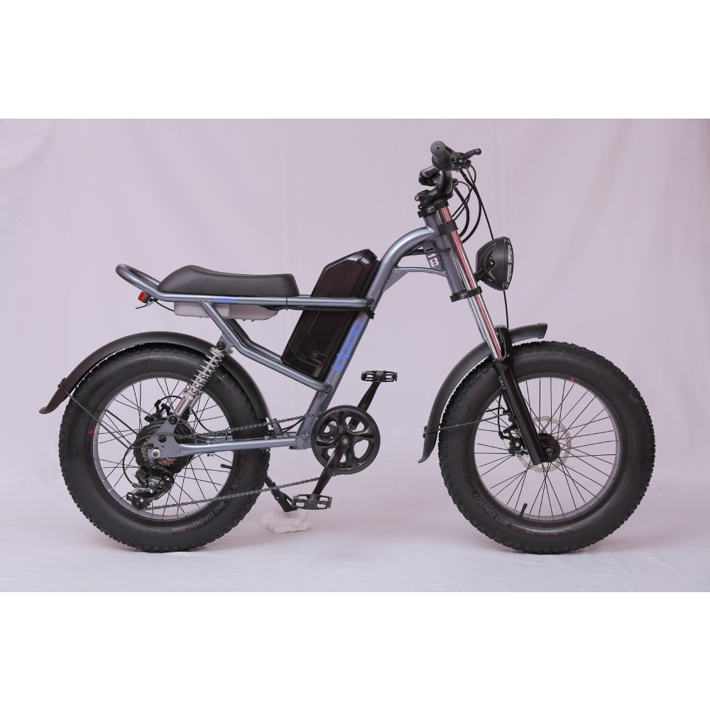 Ridefaboard Z8 elektrische fiets, dikke band e-bike, removebale batterij, zilver / zwart