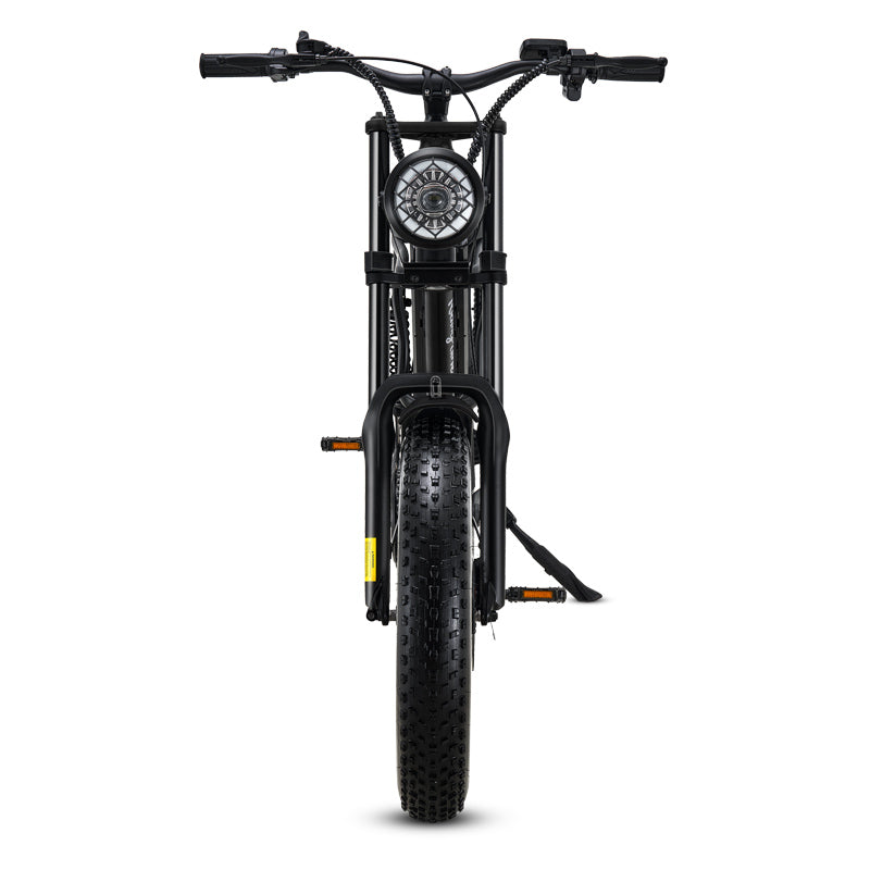 Ridefaboard Z8 elektrische fiets, veervering, dikke banden, Shimano 7-speed e-bike, zwart