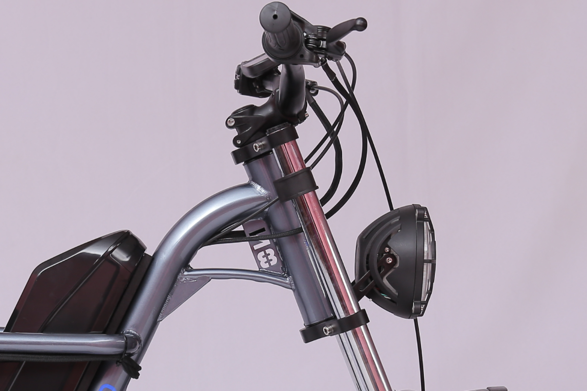 Ridefaboard Z8 elektrische fiets, dikke band e-bike, removebale batterij, zilver / zwart