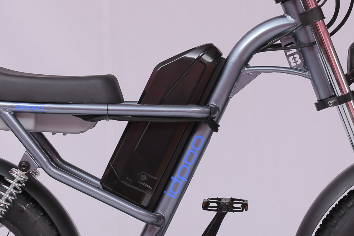 Ridefaboard Z8 elektrische fiets, dikke band e-bike, removebale batterij, zilver / zwart