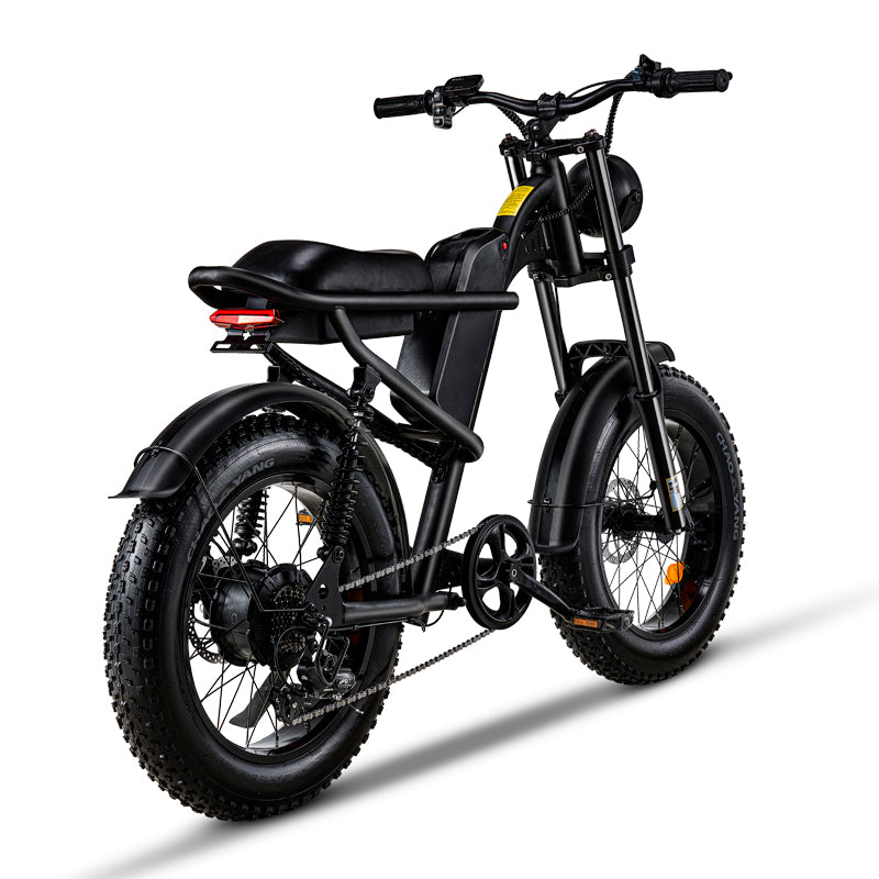 Ridefaboard Z8 elektrische fiets, veervering, dikke banden, Shimano 7-speed e-bike, zwart