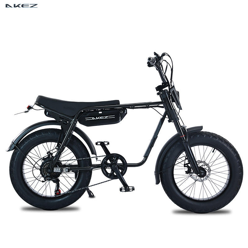 AKEZ Retro Electric Scooter Bike ZX 750W 3 speeds