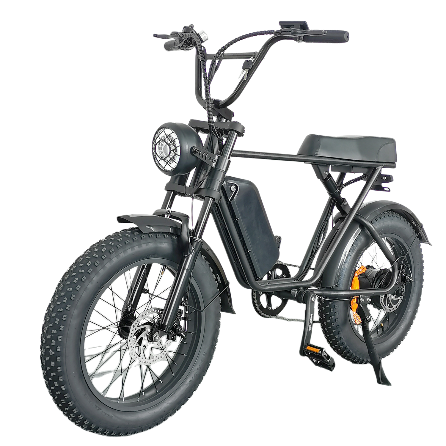 C91 Electric Bike 48V 1000W Motor 20Ah Battery, 20*4.0 Inch Fat Tire, 60-70KM Range