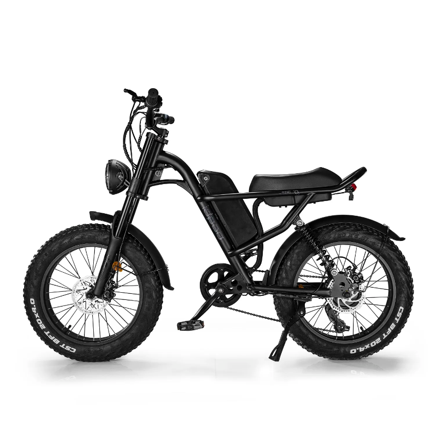 Ridefaboard Z8 Vélo électrique, Fat Tire E-Bike, batterie amovible, argent / noir