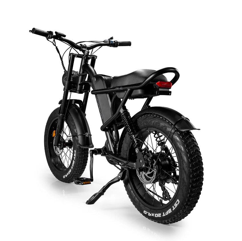 Ridefaboard Z8 elektrische fiets, dikke band e-bike, removebale batterij, zilver / zwart