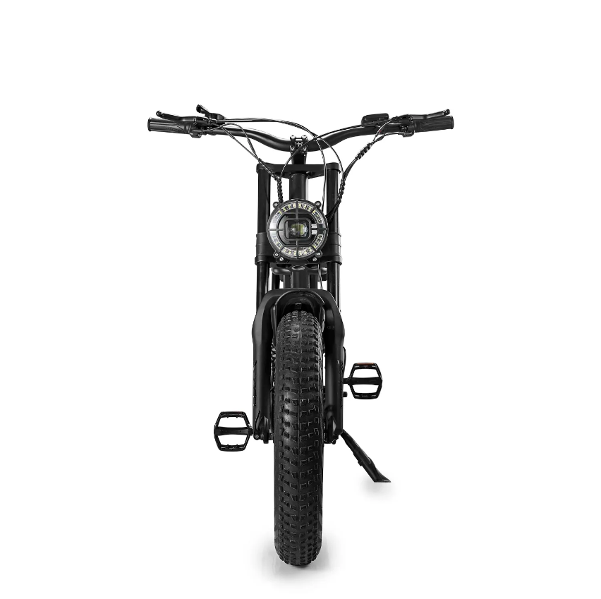 Ridefaboard Z8 elektrische fiets, dikke band e-bike, removebale batterij, zilver / zwart